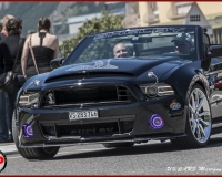 TSR Watermark - 0628